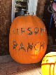 Pumpkins at Everson Ranch - Cherrye Williams